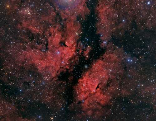 IC 1318