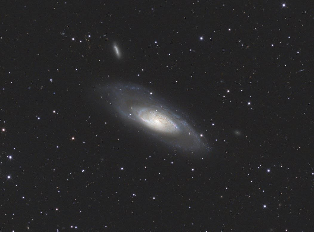 M81