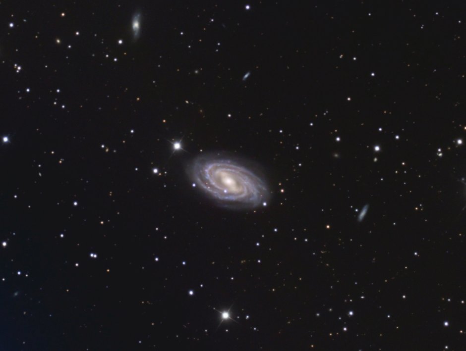 M81