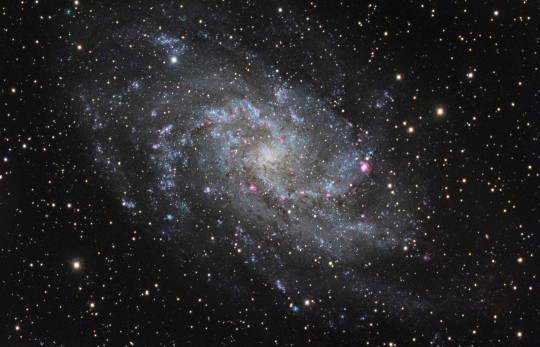 M33