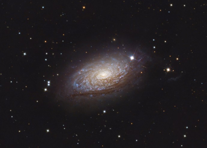 M63