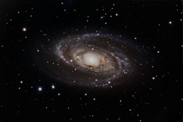 M81