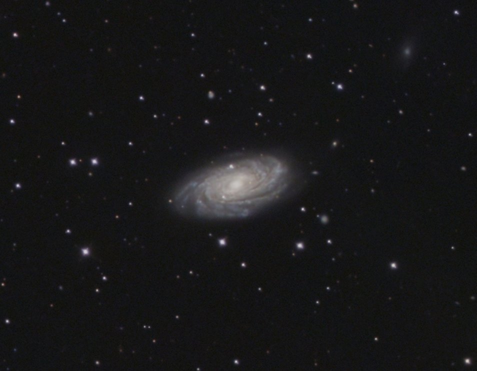 M81