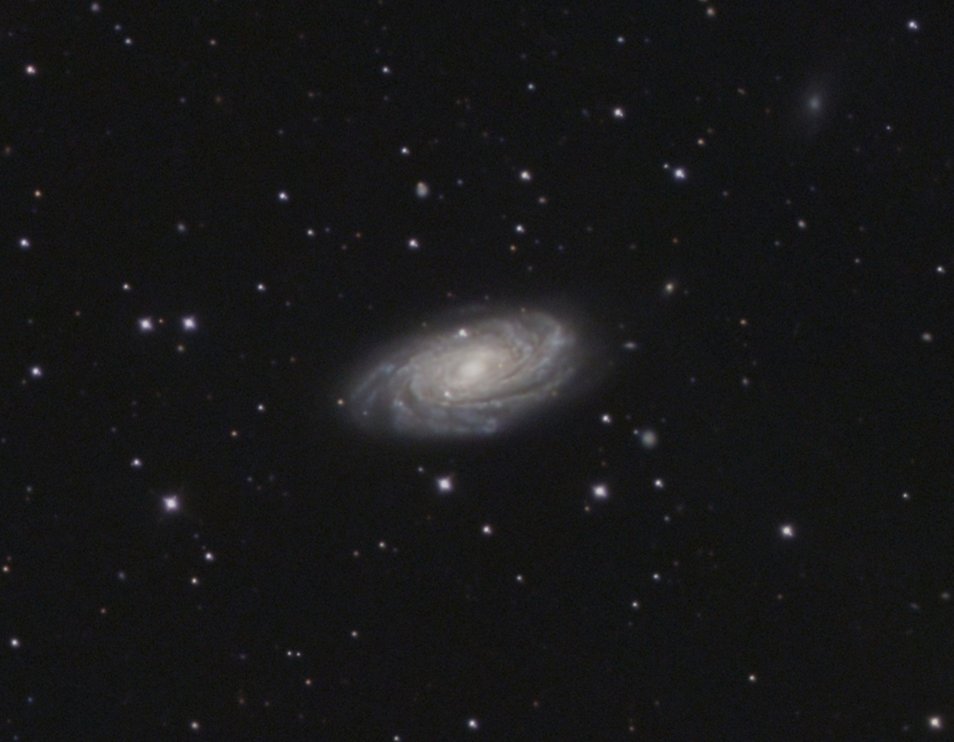 M81